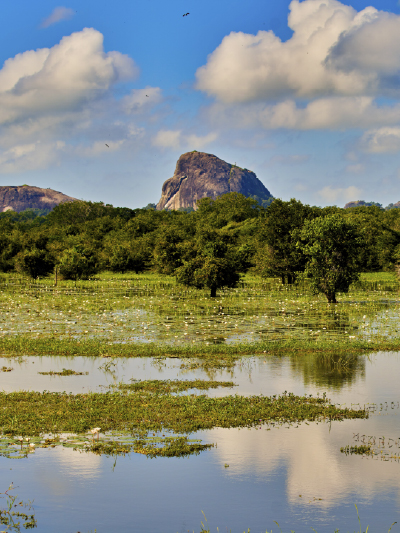 Yala National Park
